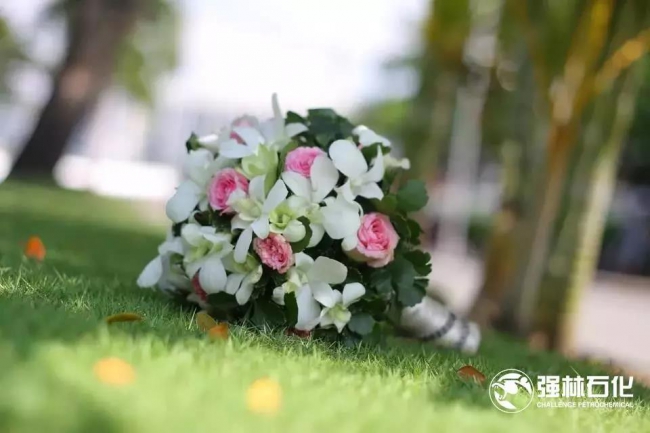 Romance 【浪漫四季】在萬達高爾夫來一場盛大的草地婚禮！2