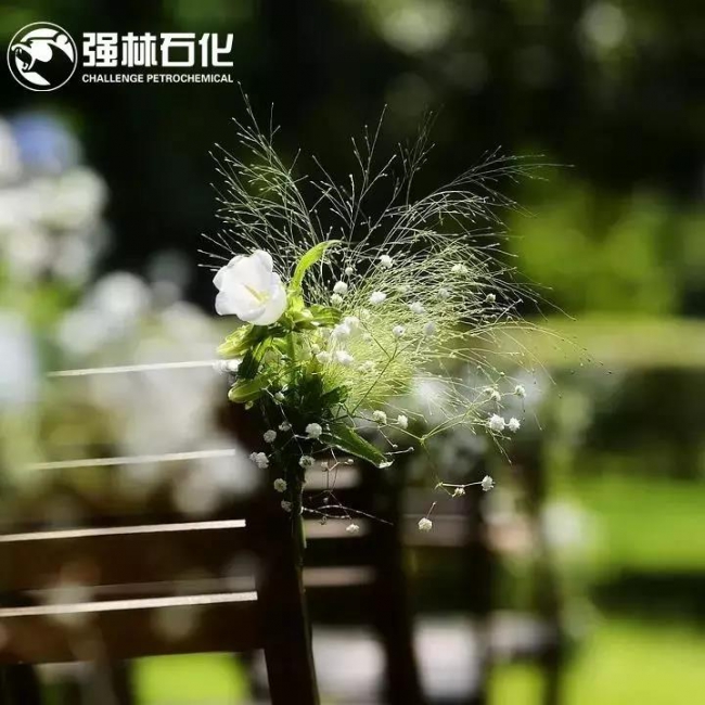 Romance 【浪漫四季】在萬達高爾夫來一場盛大的草地婚禮！3