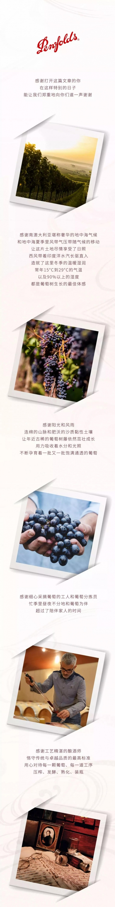 Penfolds  奔富感恩節(jié)特輯：第175次感謝，如此長情1